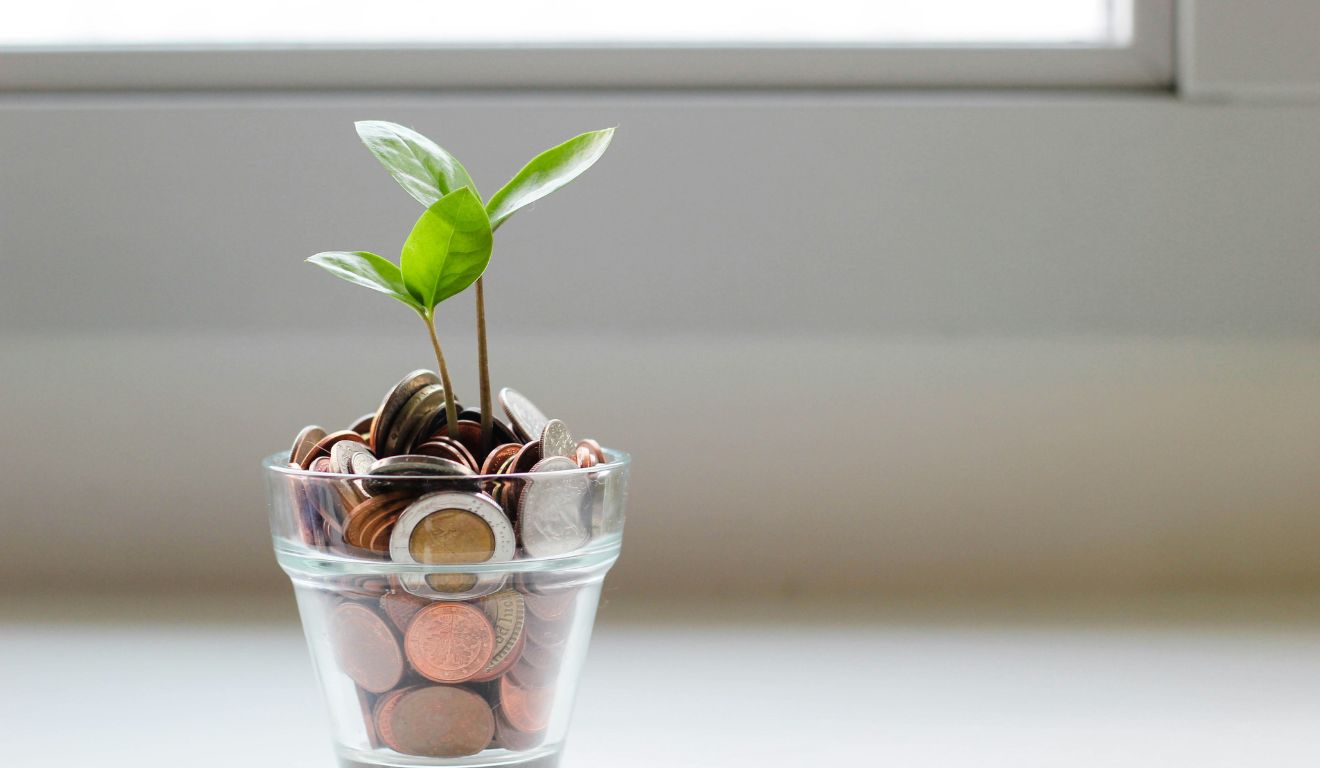 Broto de planta em um recipiente com moedas.